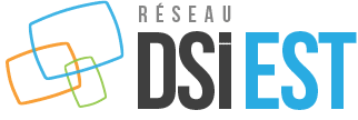 logo dsi